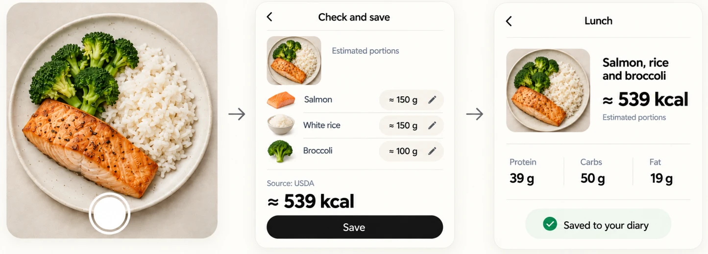 Photo of salmon with rice and broccoli, portion review, and a saved diary entry
